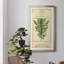 Linnaean Botany I - peinture sur toile encadrée-1846193312-1846193342