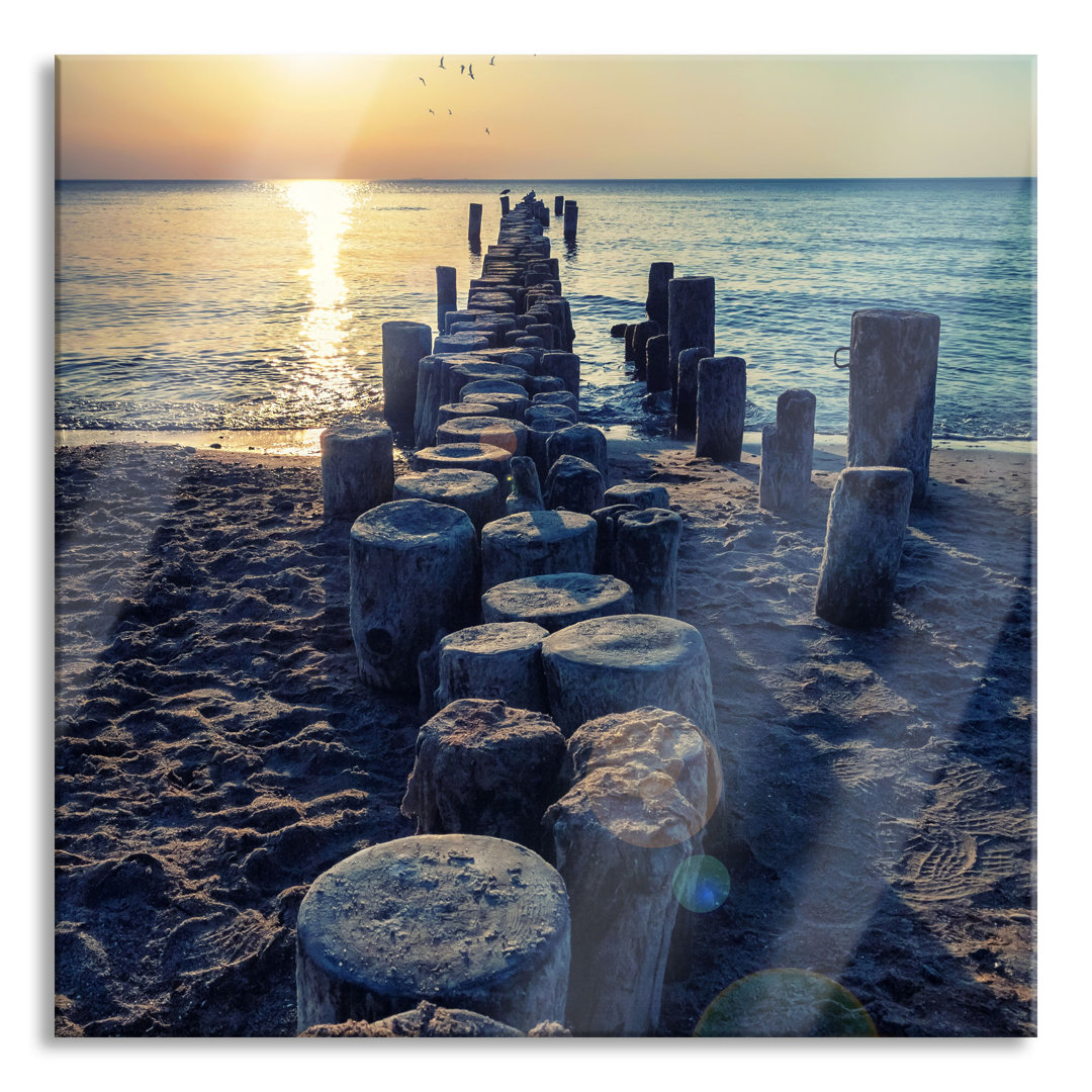 Glasbild Quadratisch | Wandbild Auf Echtglas | Baumstümpfe Am Meer Inkl. Aufhängung Und Abstandshalter 2