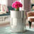 Swenki Glass Top End Table