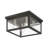 Teodro 4-Light 11" Flush Mount