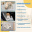 48" x 66'' Eco-Friendly Large Dog Pee Pads, Modern Mat For Muti-cdog-1156138971