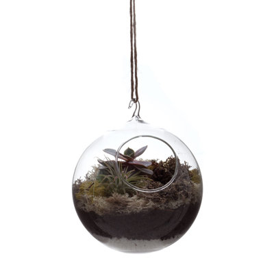 Hana Glass Wall Vase