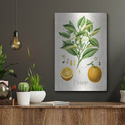 «Vintage Citrus Fruit Study B» par Jean Plout, art mural en métal