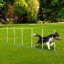 Adjustable Dog Agility Training Obstacle Set