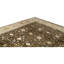 Wool Oriental Area Rug in Gold