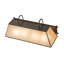 4 - Light Vanity Light