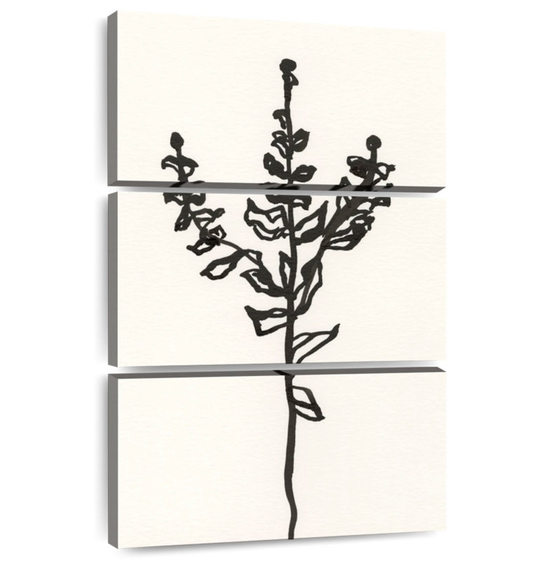 Esquisse botanique Harnek Ink II, H 38 po x l 24 po