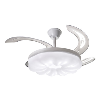 Ceiling Fan with LED Lights