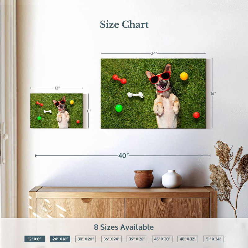 Ketti terrier chihuahua amusant, H 16 po x l 24 po