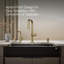 CAIRN 1 BASIN 36-In SHORT APRN-51285865