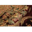 Wool Oriental Rug