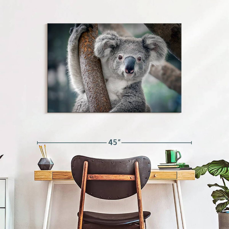 Brampt Happy Koala, 26" H x 39" W