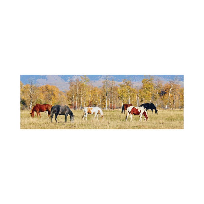 Group Of Horses II by Susan Vizvary - Wrapped Canvas Panoramic Print, 30.48 cm H x 91.44 cm W x 1.91 cm D