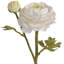 Arrangement-34458649