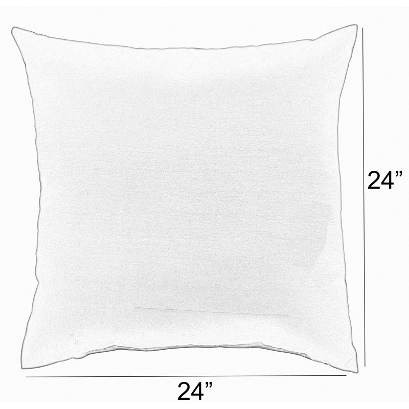  Housse et insert de coussin extérieur d'extérieur, 24 po x 24 po, Vert ara / rayures bleues