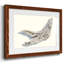Driftwood Study III, reproduction d'art encadrée-960172839-960172835