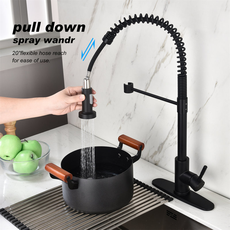Kozart Pull Out Kitchen Faucet