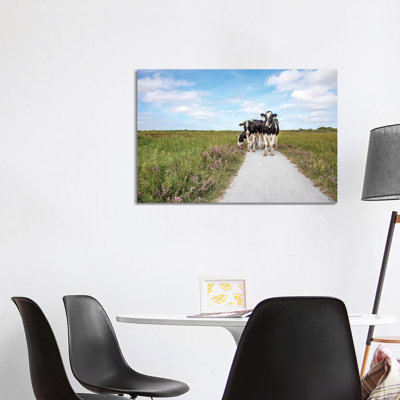 Cows On The Road by Clara Bastian - Wrapped Canvas Print