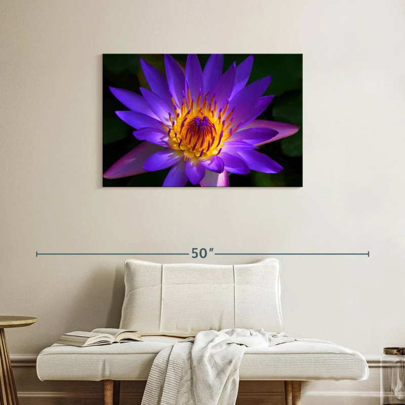 Harnek Hawaiian Water Lily, H 24 po x l 36 po