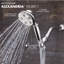 Pomme de douche à main multi-fonctions avec autonettoyant Chelsea Anystream Alexandria-32700835-130544388