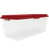 Clear with Red Lid selected