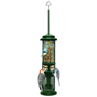 Arlmont & Co. Squirrel Buster Squirrel-Proof Bird Feeder for Nuts