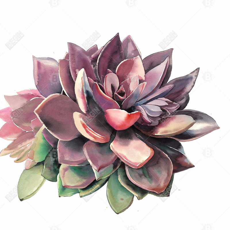 Succulent - 18"x18" Outdoors Throw pillow - Spun poly - Print on demand