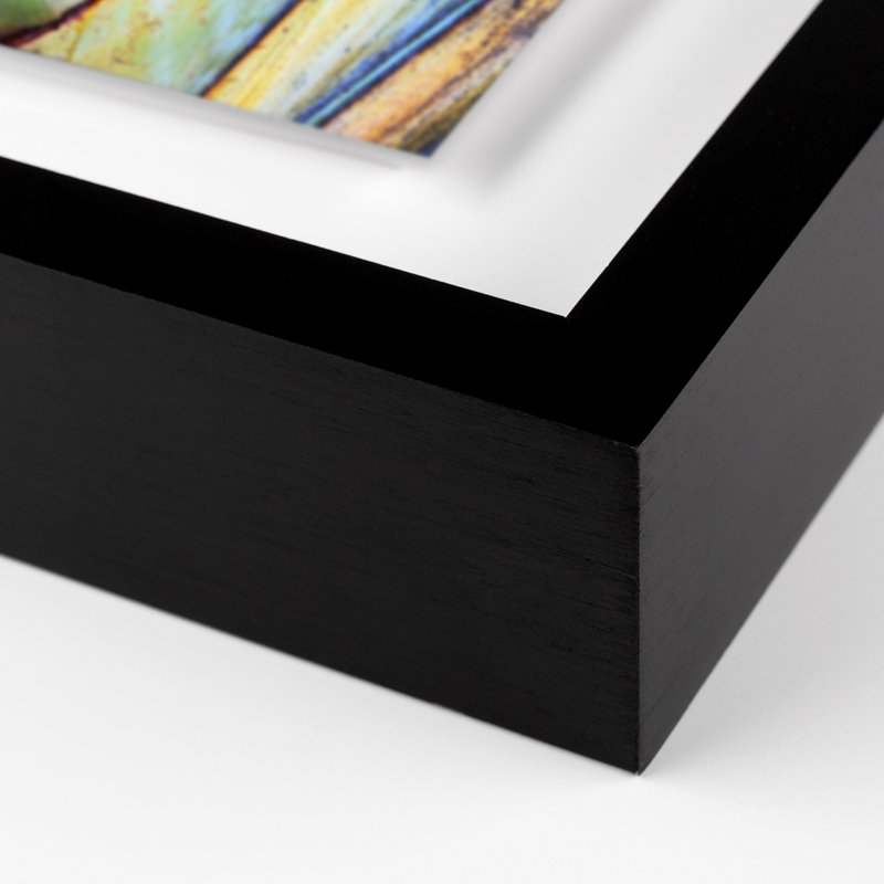 Nature II Color Print by Erica Singleton, 48" H x 34" W x 2.5" D, Black