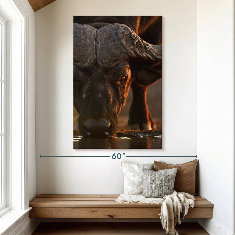 Brampt Drinking Cape Buffalo, 51" H x 34" W