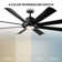 Aura 8 - Blade Indoor/Outdoor Smart Ceiling Fan with Adjustable CCT 2700K-3000K-4000K-5000K LED Light Kit and Remote Control Included, Works With Alexa and iOS or Android App