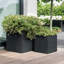 Planter Box-616968465-616968744