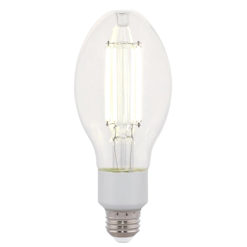Ampoule à filament DEL Westinghouse Ed23.5 E26 (moyen), équivalente à 125 watts, paquet de 1