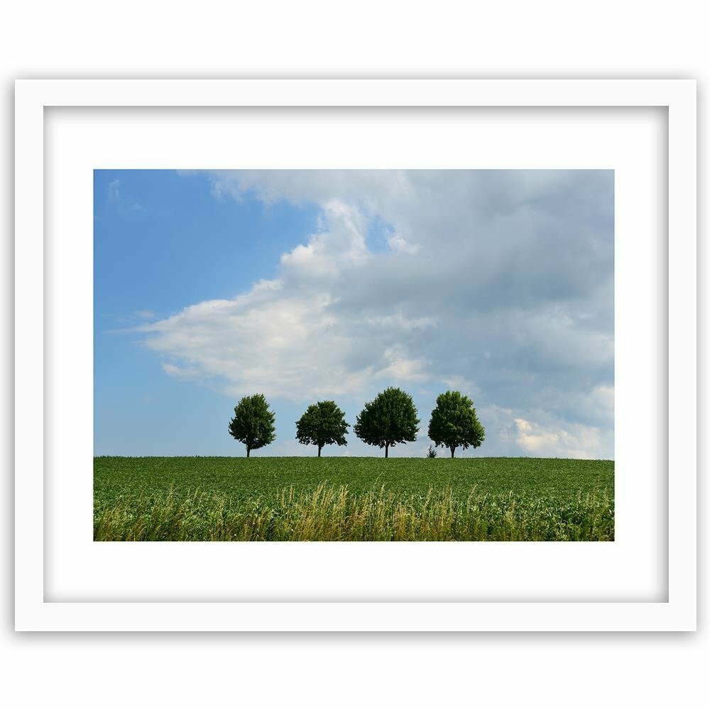 Gerahmter Fotodruck Bäume auf der Wiese