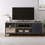 Hadlei Rustic Oak and Black TV Stand with 1 Sliding Door