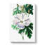 White Hibiscus Flower - Wrapped Canvas-55300901