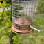 Gelsomina Metal Hanging Tube Bird Feeder