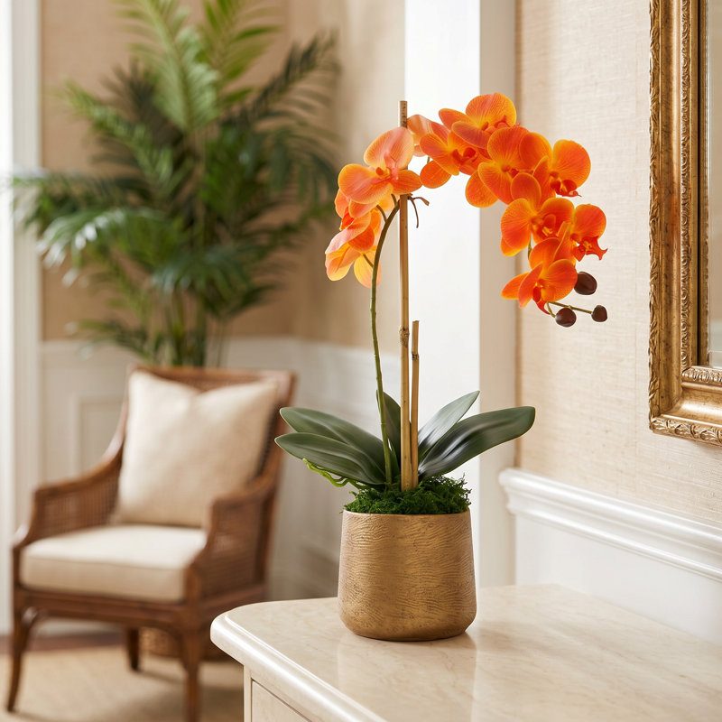 Polysilk Orchid Arrangement in Pot