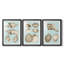 Sépia et aqua coquillages IV - reproduction sur mesure encadrée de qualité supérieure - 3 pièces-51412079-51412073