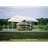 ShelterLogic Polyethylene Plastic Replacement Canopy for Canopy-36159805-36159800