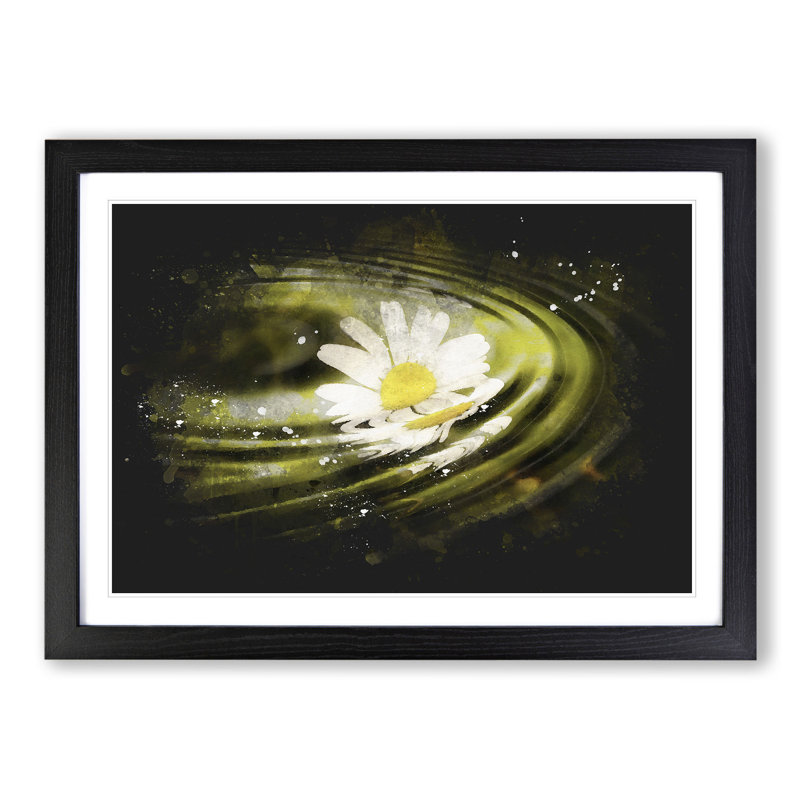 White Daisy Vol.4 - Picture Frame Graphic Art, 27cm H x 36cm W x 2cm D, Black Framed