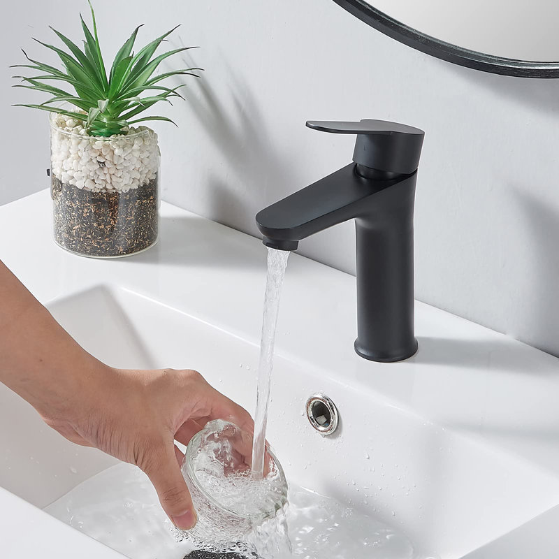 Tayanuc Matte Black Single Hole Bathroom Faucet,Single Handle Bathroom Sink Faucet Stainless Steel Vanity Faucet For Bathroom Sink With Water Supply Hoses