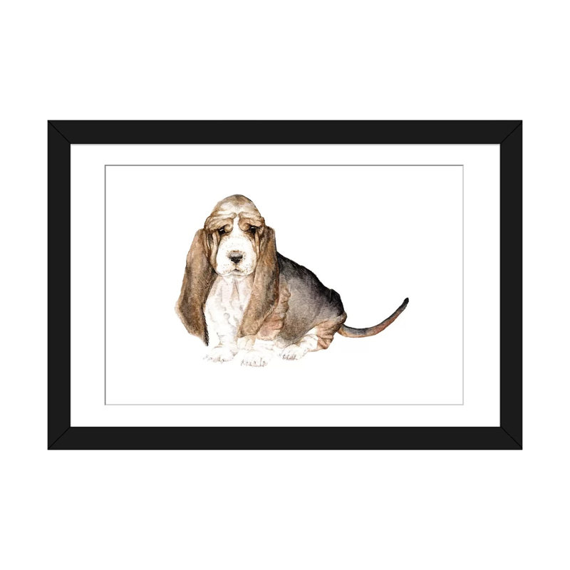 « basset hound », reproduction sur toile, H 16 po x l 24 po x P 1 po, Papier d'art encadré noir, Blanc