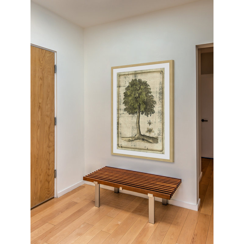 "Fruitful Realm II" Framed Print, 30" H x 20" W x 1.5" D