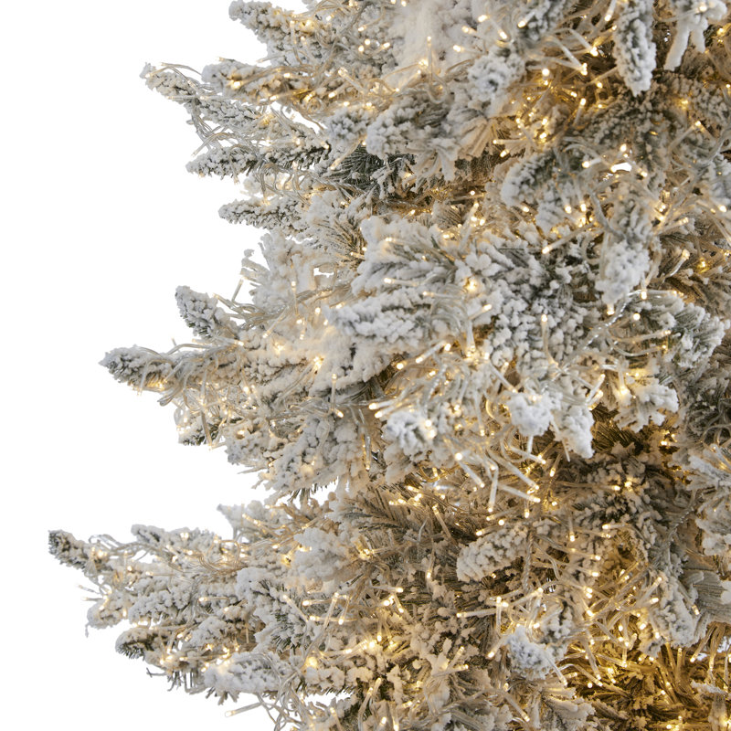 Lighted Artificial Christmas Tree, 5'