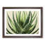 XH1022-637X Angelical Aloe Vera Plant - Single Picture Frame Painting-65429969-65429968