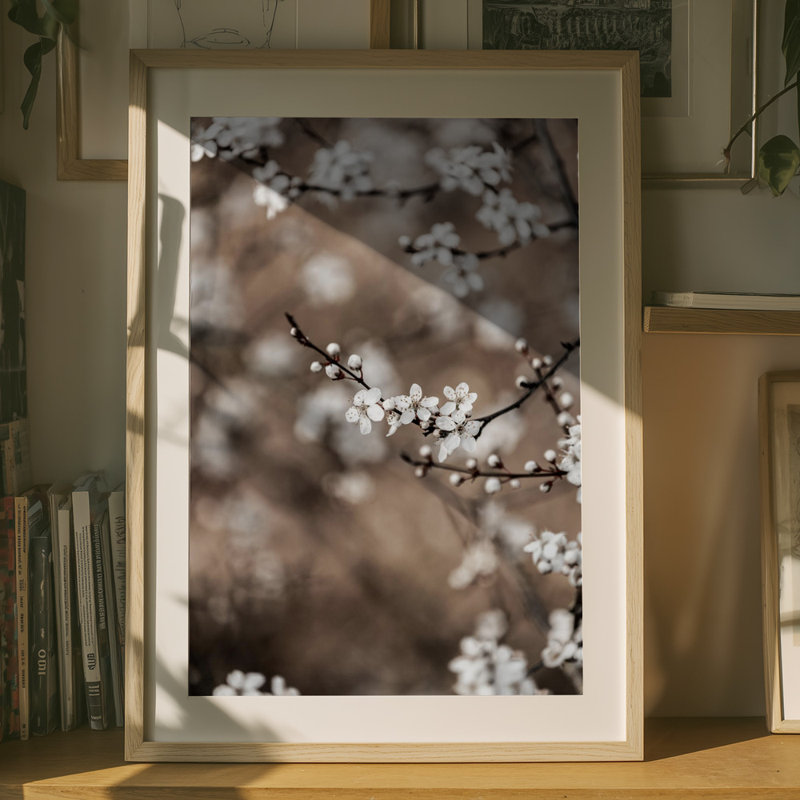 1 Piece Wrapped Canvas Wall Art