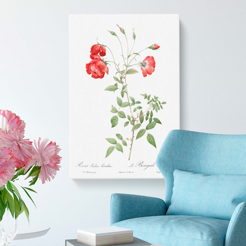 Roses by Pierre-Joseph Redoute - Wrapped Canvas, 76cm H x 50cm W x 3cm D