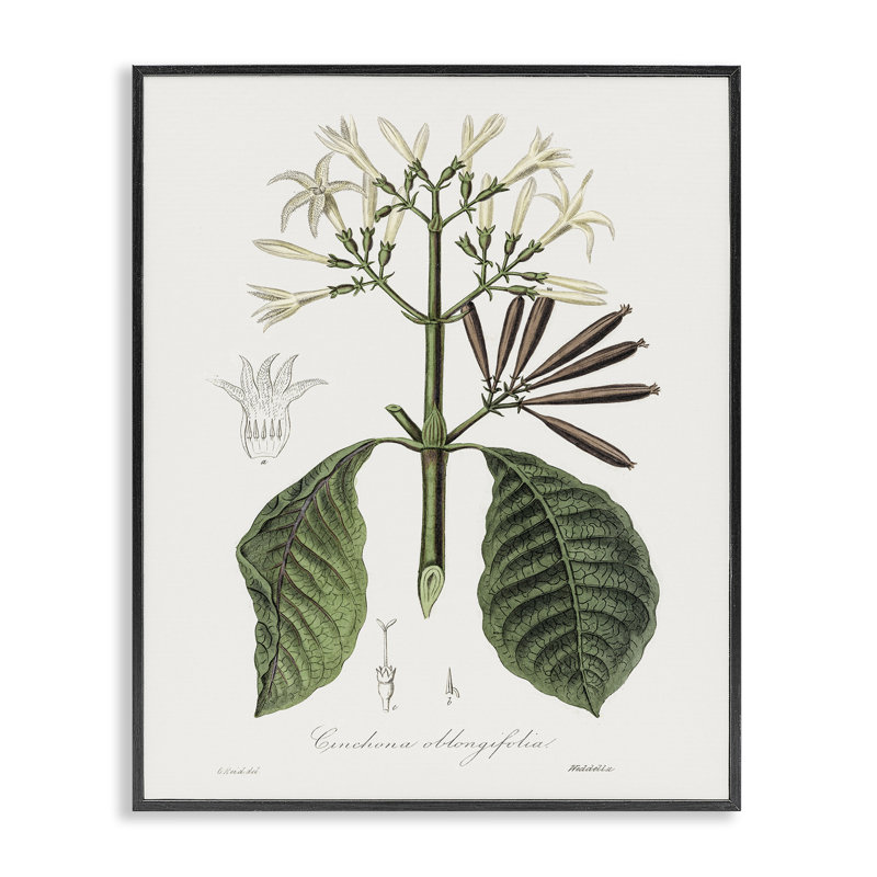 Estampe numérique rétro encadrée, design par CAD Designs, Giclée encadrée noir minuit, H 30 po x l 24 po
