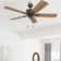 Arlea 52" Ceiling Fan with No Light