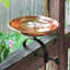 Bain d'oiseaux Dogwood avec support sur rail
